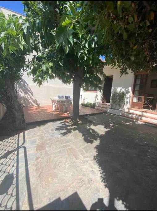 Maison Proche Plage Canet-en-Roussillon Eksteriør billede